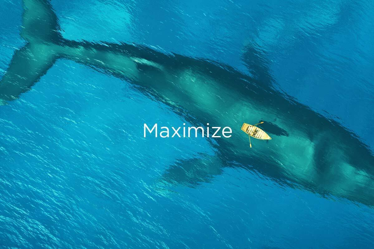 Featured image for “How To Maximize Your Marketing Agency Investment”